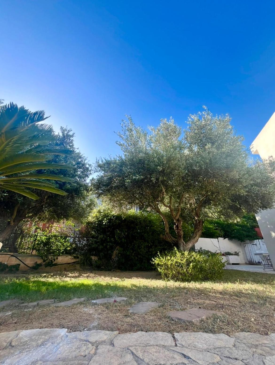 Villa Vittoria Solanas  Εξωτερικό φωτογραφία