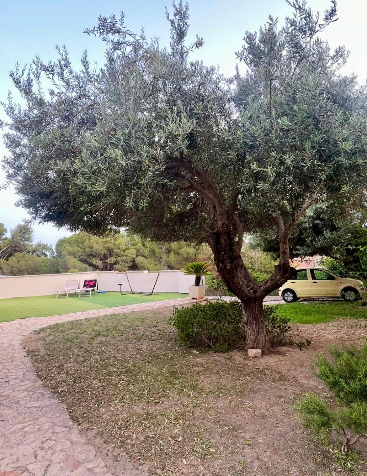Villa Vittoria Solanas  Εξωτερικό φωτογραφία